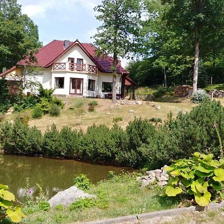 Apartament Bukowy Las Zachelmie  Zewnętrze zdjęcie