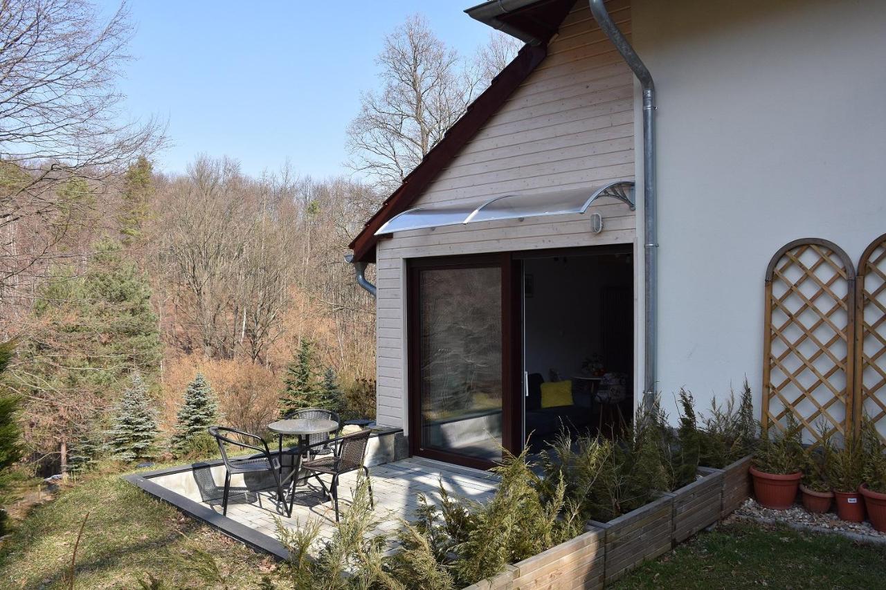 Apartament Bukowy Las Zachelmie  Zewnętrze zdjęcie