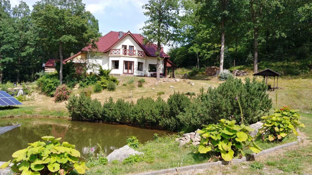 Apartament Bukowy Las Zachelmie  Zewnętrze zdjęcie