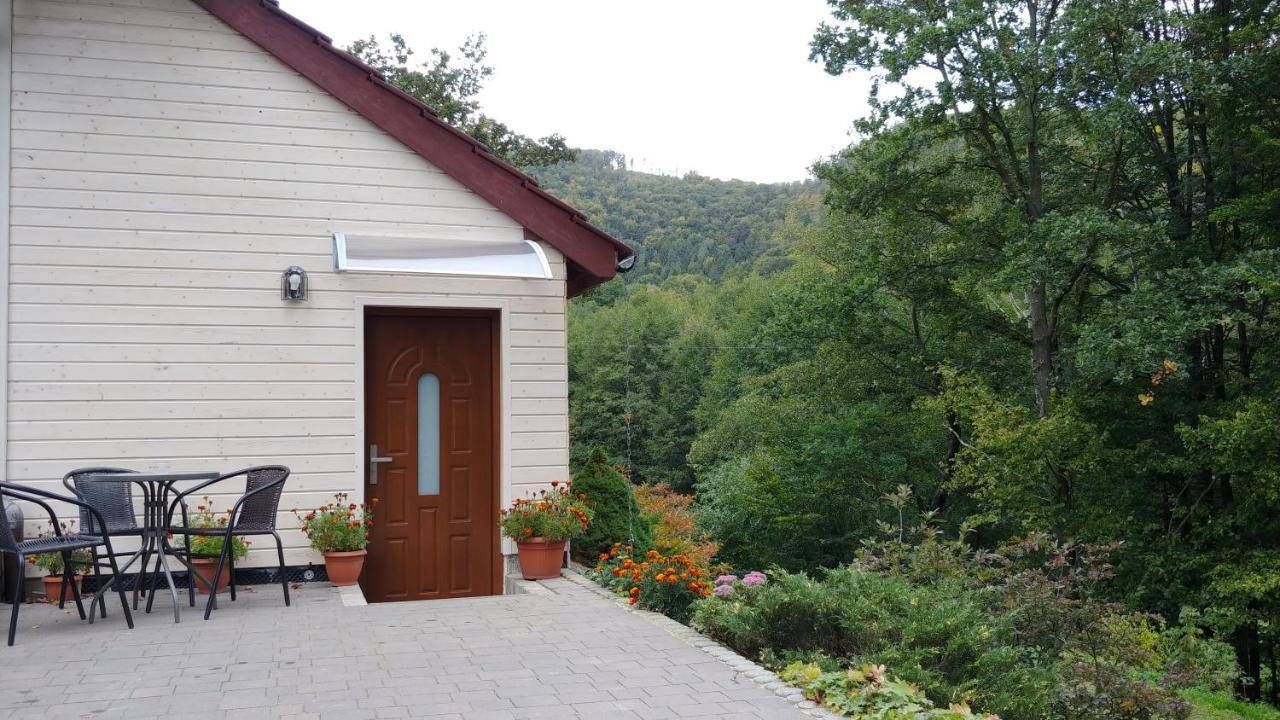 Apartament Bukowy Las Zachelmie  Zewnętrze zdjęcie